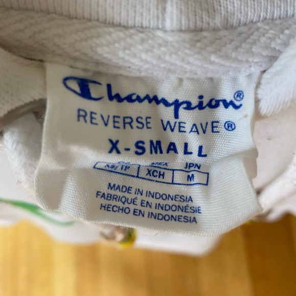 (ONLY WORN ONCE) Urban Outfitters Easter Champion hoodie w/ bedazzled✨ fruit🍉🍓 - Picture 4 of 8